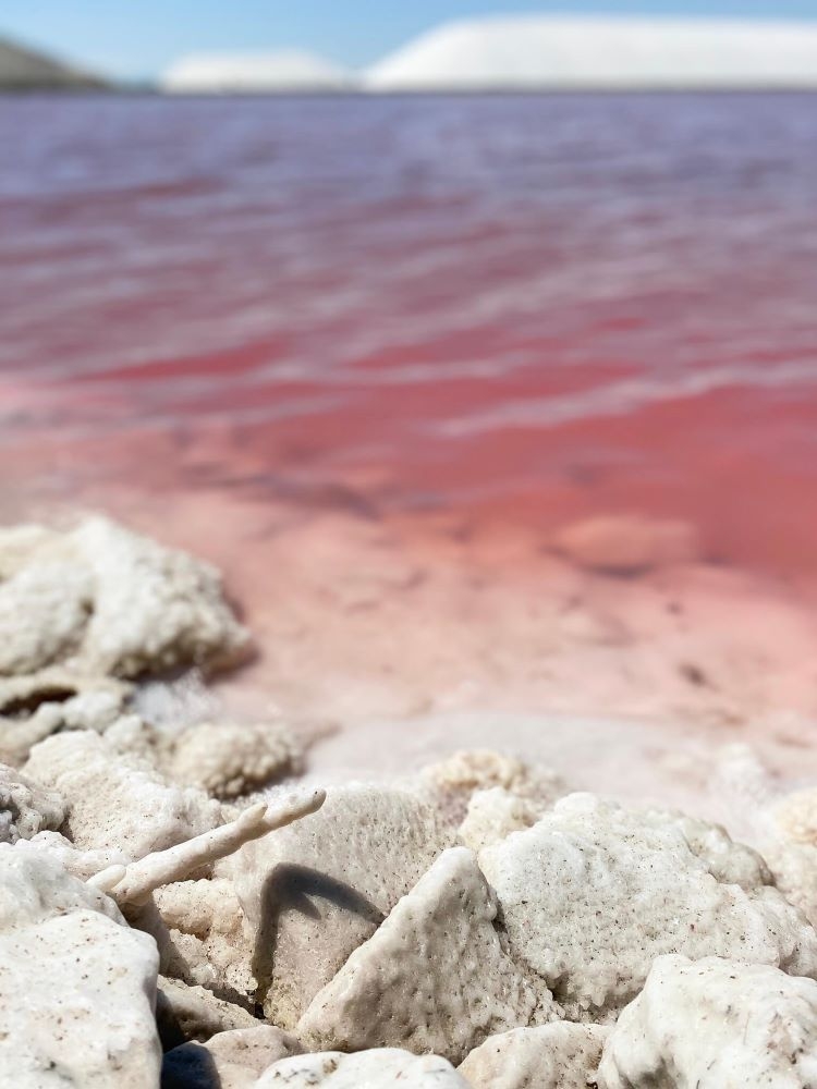 Les salins d&#039;Aigues-Mortes de couleur rose