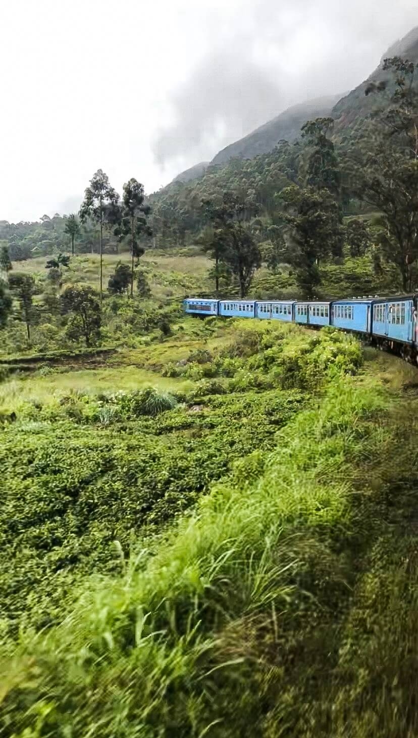 Train typique à Ella au Sri Lanka